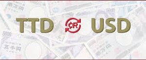 Cross-Border Currency Exchange & Transfer Service